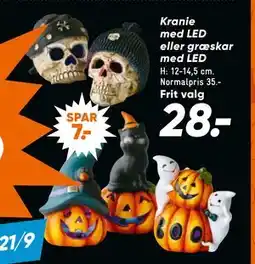 Bilka Kranie med LED eller græskar med LED, DKK 28 tilbud