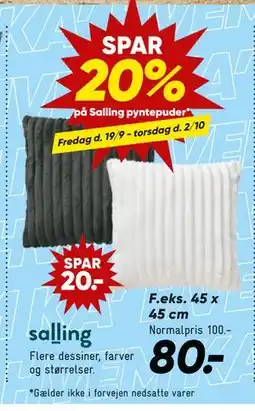 Bilka SPAR 20% på Salling pyntepuder, DKK 80 tilbud
