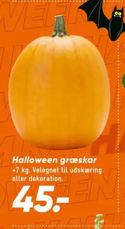 Bilka Halloween græskar, DKK 45 tilbud