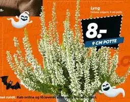 Bilka Lyng, DKK 8 tilbud