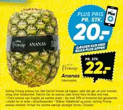 Bilka Ananas, DKK 22, App-pris tilbud