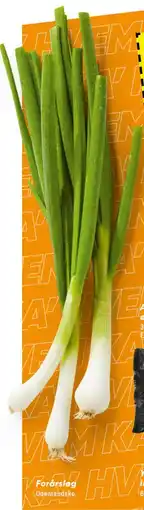 Bilka Forårsløg, DKK 5 tilbud