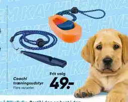 Bilka Coachi træningsudstyr, DKK 49 tilbud