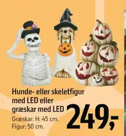 Føtex Hunde- eller skeletfigur med LED eller græskar med LED, DKK 249 tilbud