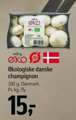 Føtex Økologiske danske champignon, DKK 15 tilbud