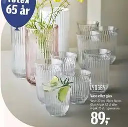 Føtex Vase eller glas, DKK 89 tilbud
