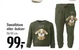 Føtex Sweatbluse eller -bukser, DKK 99 tilbud