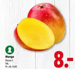 Lidl Mango, DKK 8 tilbud