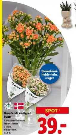 Lidl Brændende kærlighed buket, DKK 39 tilbud