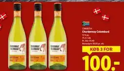 Lidl Chardonnay Colombard, DKK 100 tilbud