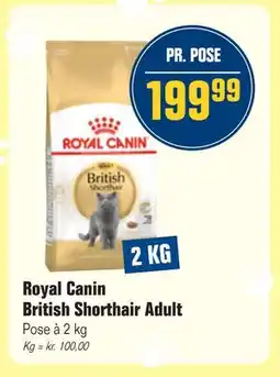 Otto Duborg Royal Canin British Shorthair Adult, DKK 199.99 tilbud