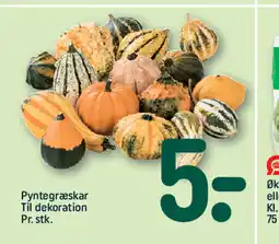 REMA 1000 Pyntegræskar Til dekoration tilbud