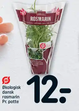 REMA 1000 Økologisk dansk rosmarin tilbud