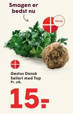 SPAR Gestus Dansk Selleri med Top, DKK 15 tilbud