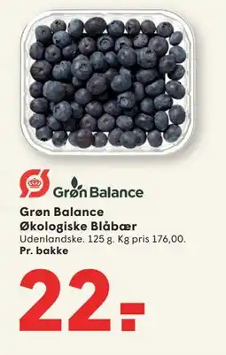SPAR Grøn Balance Økologiske Blåbær, DKK 22 tilbud