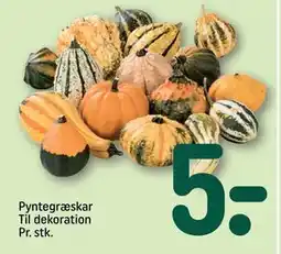 REMA 1000 Pyntegræskar Til dekoration Pr. stk., DKK 5 tilbud