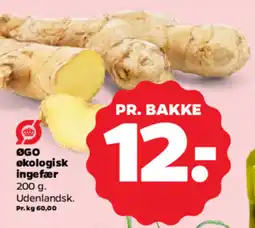Netto ØGO økologisk ingefær tilbud