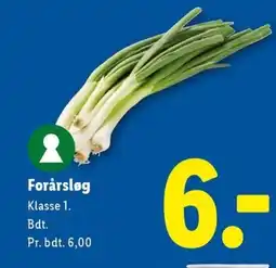 Lidl Forårsløg tilbud