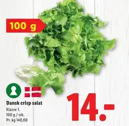 Lidl Dansk crisp salat, DKK 14 tilbud