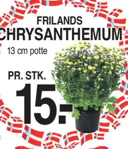 ABC Lavpris FRILANDS CHRYSANTHEMUM tilbud