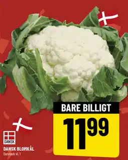 Løvbjerg Dansk blomkål tilbud