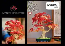 Lego Bonsaitræ: Japansk løn tilbud