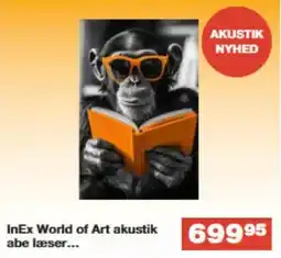 Bauhaus Inex world of art akustik abe læser tilbud