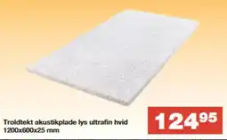 Bauhaus Troldtekt akustikplade lys ultrafin hvid 1200x600x25 mm tilbud