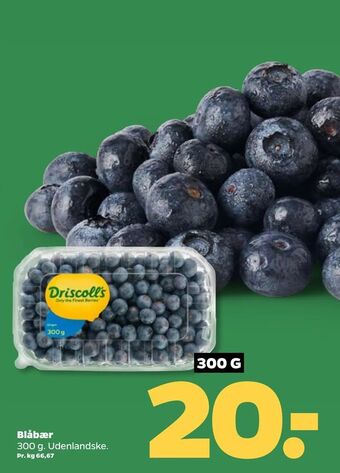 Netto Blåbær tilbud