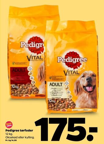Netto Pedigree tørfoder tilbud