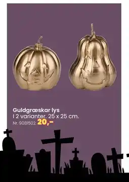 Hi five Guldgræskar lys, DKK 20 tilbud