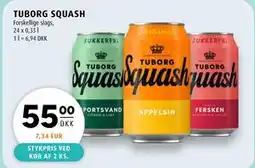 Scandinavian Park TUBORG SQUASH, DKK 55 tilbud