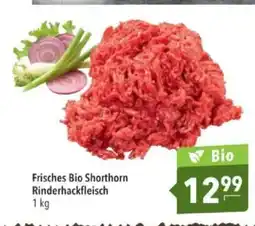 Citti Frisches Bio Shorthorn Rinderhackfleisch tilbud