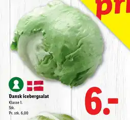 Lidl Dansk icebergsalat tilbud