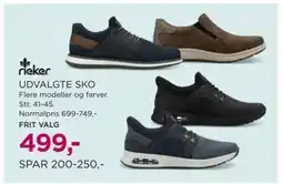 Salling UDVALGTE SKO, DKK 499 tilbud