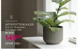 Salling URTEPOTTESKJULER, DKK 149.95 tilbud