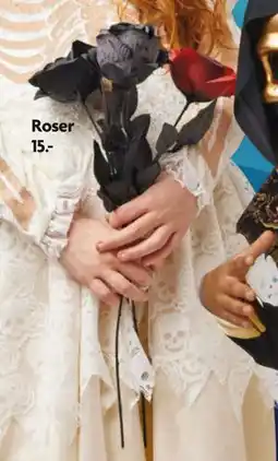 Fætter BR Roser, DKK 15 tilbud