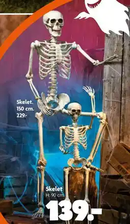 Fætter BR Skelet, DKK 229 tilbud
