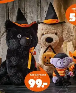 Fætter BR Kat eller hund, DKK 99 tilbud