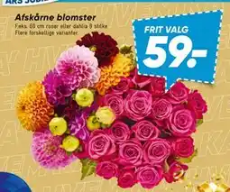 Bilka Afskårne blomster, DKK 59 tilbud