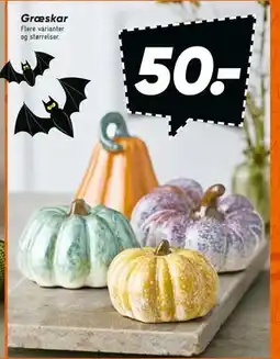Bilka Græskar, DKK 50 tilbud