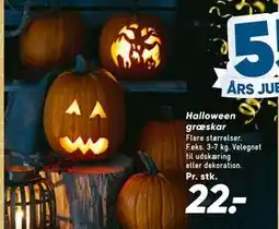 Bilka Halloween græskar, DKK 22 tilbud