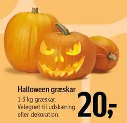 Føtex Halloween græskar, DKK 20 tilbud