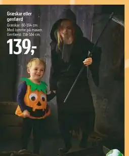 Føtex Græskar eller genfærd, DKK 139 tilbud
