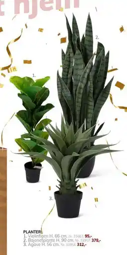 Daells Bolighus PLANTER tilbud