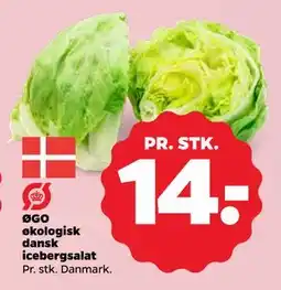 Netto ØGO økologisk dansk icebergsalat, DKK 14 tilbud
