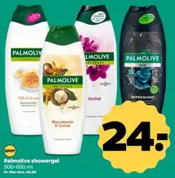 Netto Palmolive showergel, DKK 24 tilbud