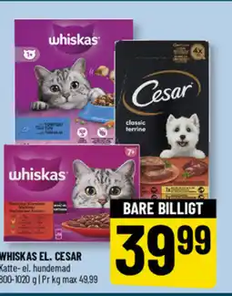 Løvbjerg Whiskas el. cesar tilbud