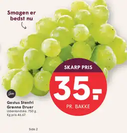 SPAR Gestus Stenfri Grønne Druer tilbud