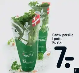 REMA 1000 Dansk persille i potte Pr. stk., DKK 7 tilbud